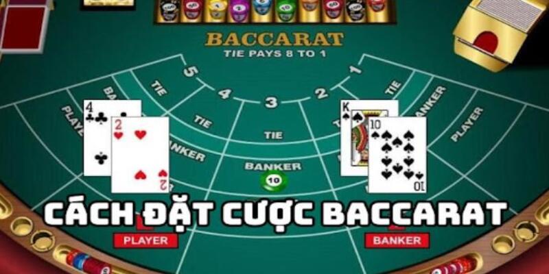 Chia sẻ cách chơi Baccarat cơ bản siêu dễ hiểu